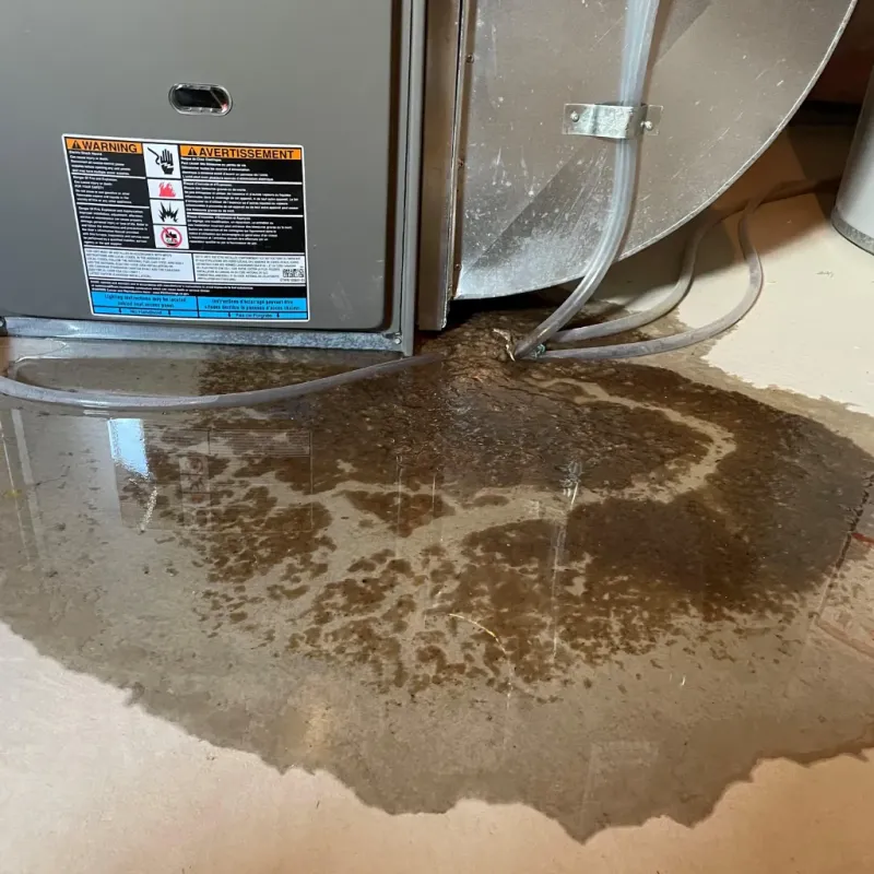 Appliance Leak Cleanup in Essex County, MA